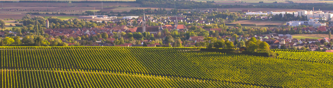 Iphöfer Kronsberg mit Pavillon